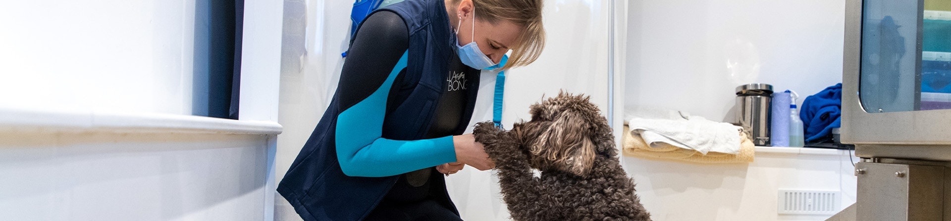 Dog Physiotherapy | Dog Rehabilitation at Oak Barn Vets
