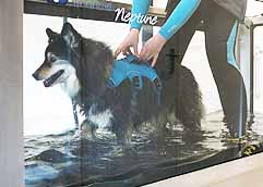 Hydrotherapy treatment